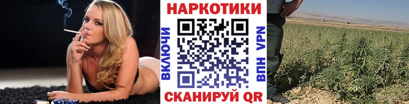 Наркотические вещества Кировград Alpha PVP  МЕТАМФЕТАМИН  АМФЕТАМИН  OMG как зайти  Мефедрон  МАРИХУАНА 