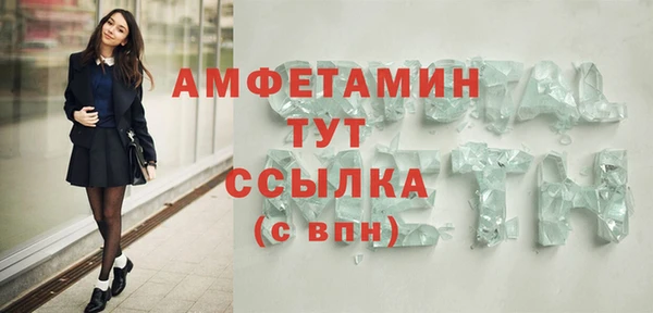 мет Алексин
