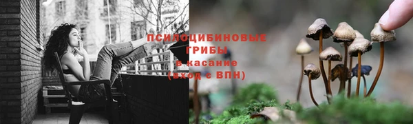 ALPHA PVP Алексеевка