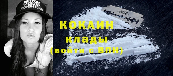 мет Алексин