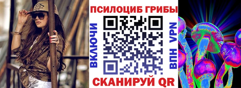 наркошоп  Кировград  Псилоцибиновые грибы Psilocybine cubensis 